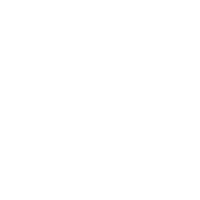 PFM vertical icon