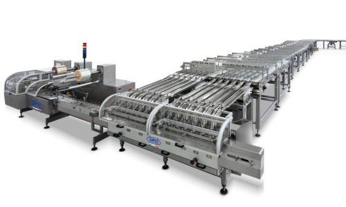 Biscuits on pile line